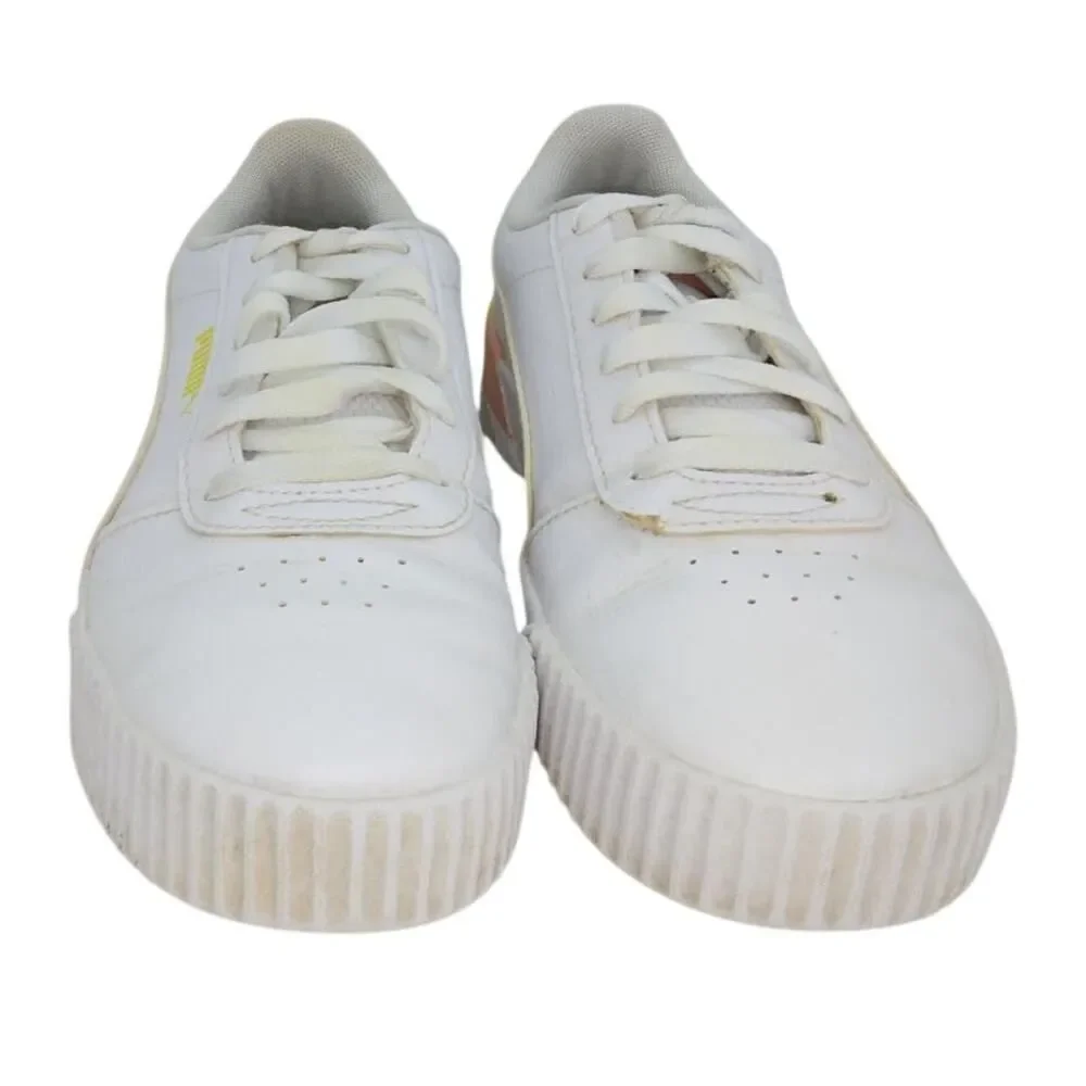 Puma carma summer